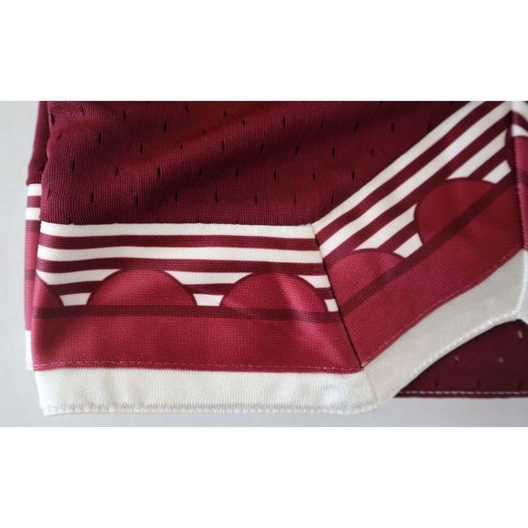 Nike DQ5656 638 Men's Sz Large Burgundy Dri-Fit Mesh 6" Giannis Shorts $55 - Picture 7 of 8